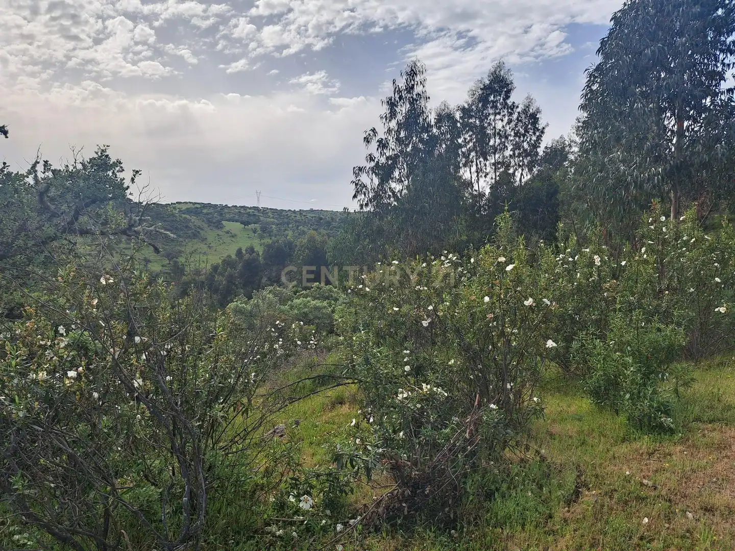 Terreno en venta en Herrera de Alcántara