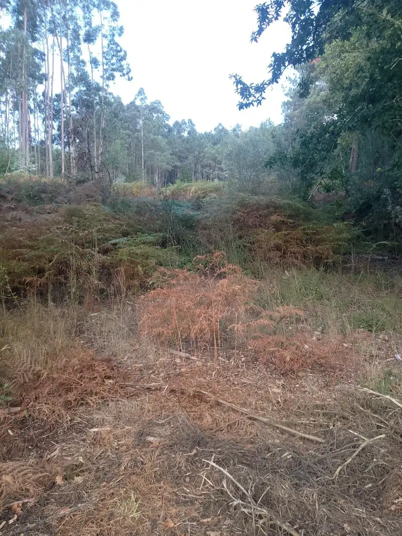 Terreno rustico in vendita a Meis, imagen 3