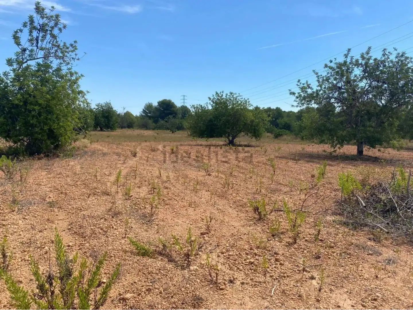 Rural land for sale in Extrarradio Diseminado 1, imagen 18