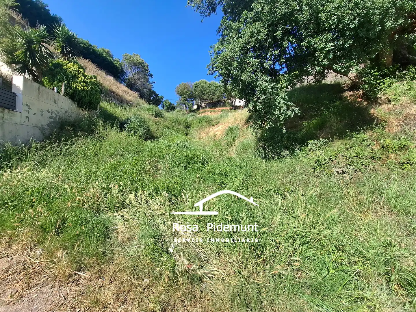 Wohnbaugrundstück zum Verkauf in Carrer Sensitiva, imagen 3