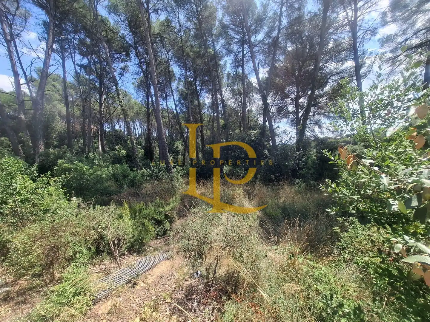 Terrain résidentiel à vendre à Carrer de las Camèlies, imagen 6