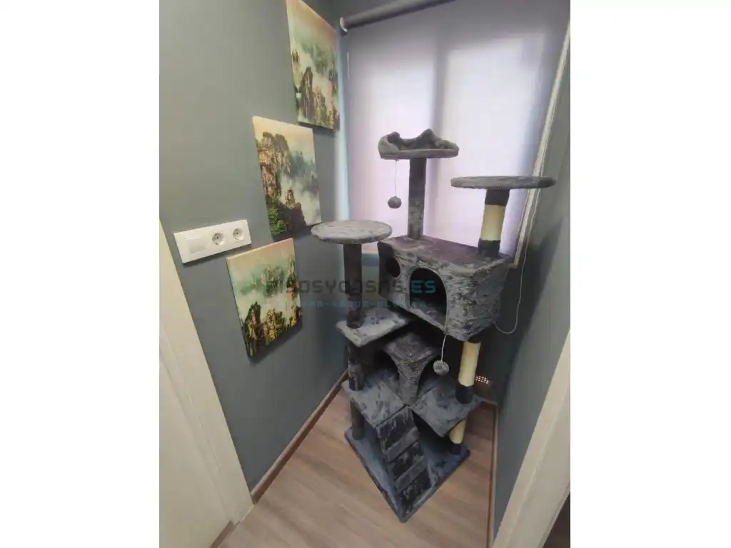Casa con jardín en venta en Calle Mur, Del 1, imagen 5