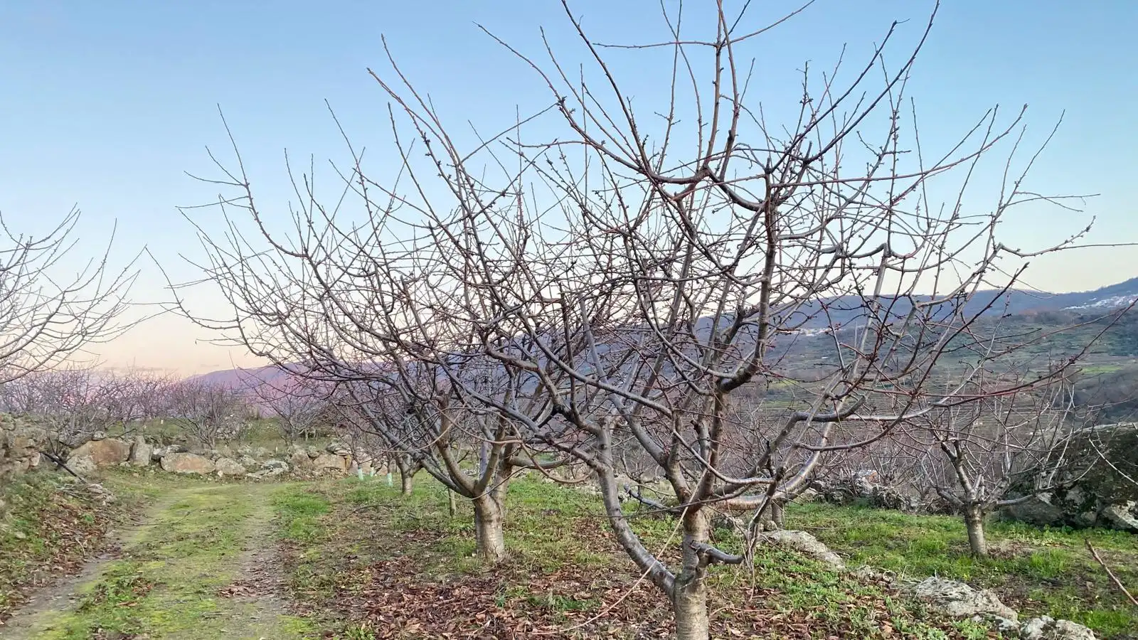 Terreni e lotti in vendita a El Torno, imagen 18