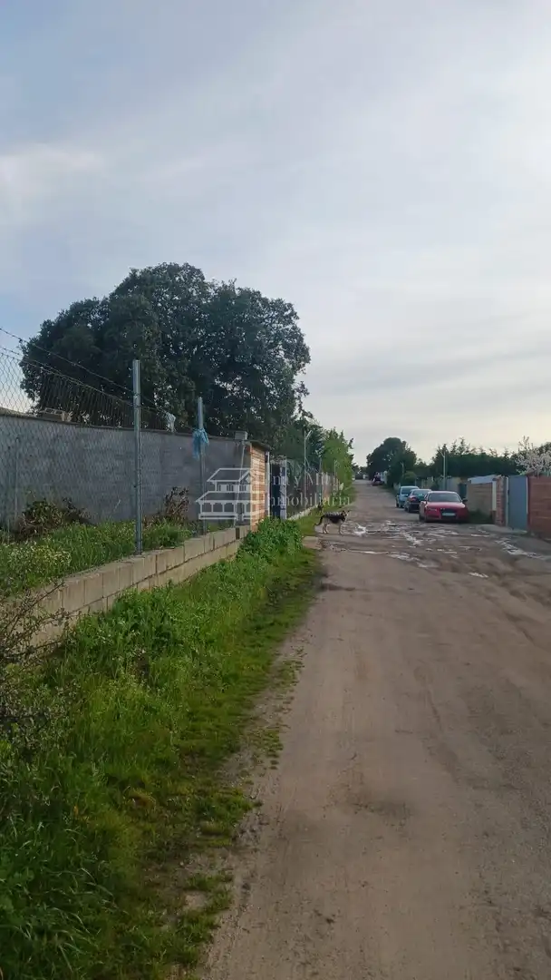 Lands and plots for sale in Calvarrasa de Arriba, imagen 9