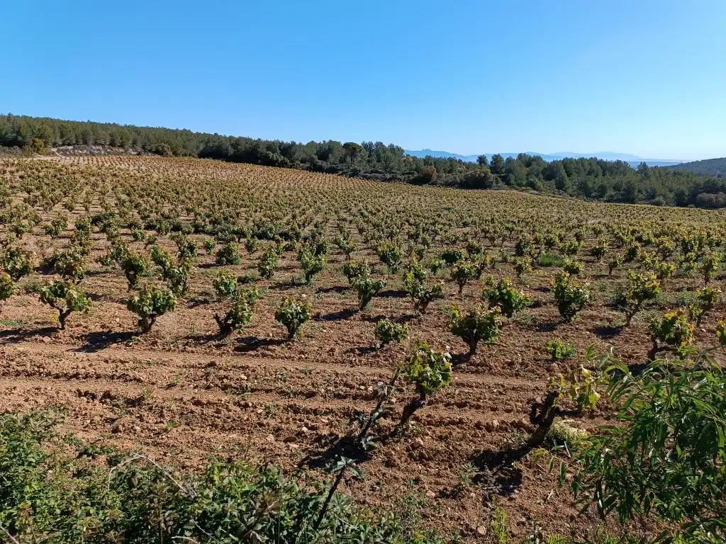 Rustikales Grundstück zum Verkauf in Sant Julià, imagen 6