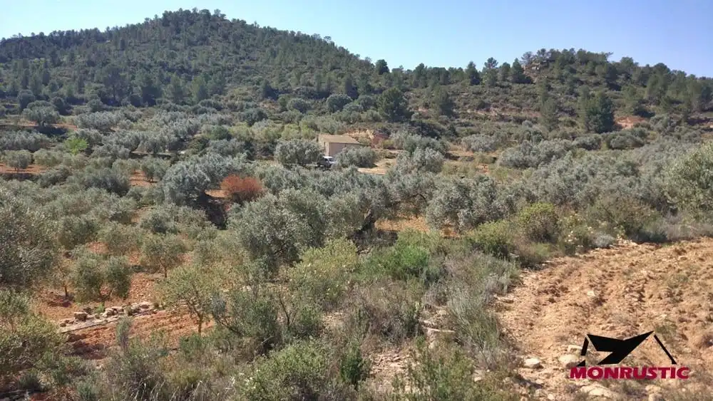 Terrain rustique à vendre à Riba-roja d'Ebre, imagen 18