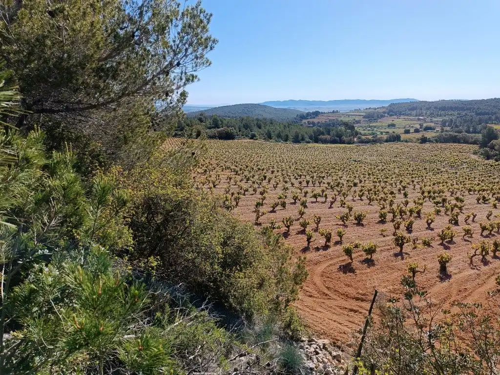 Rustikales Grundstück zum Verkauf in Sant Julià, imagen 11