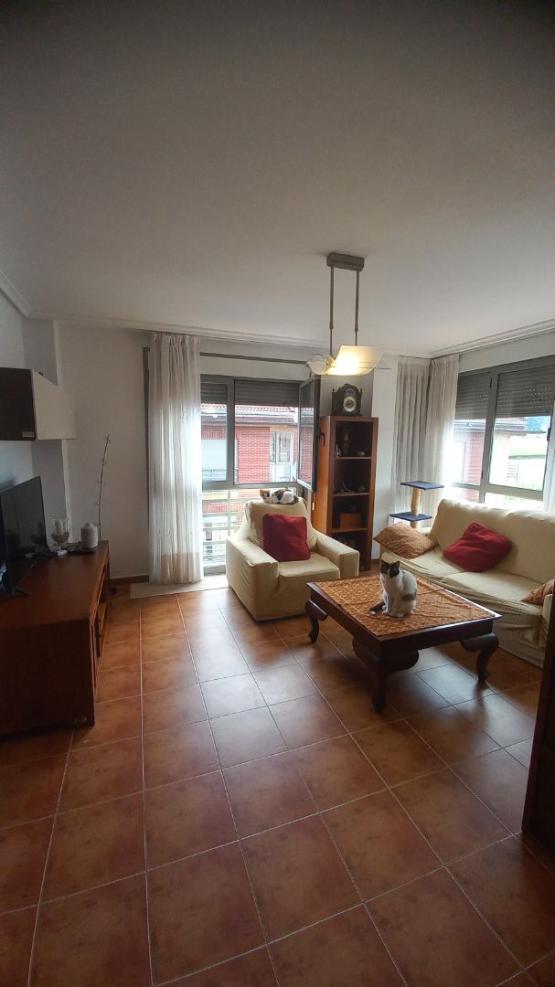 Sala d'estar de Pis de lloguer en Meruelo amb Calefacció, Moblat i Forn