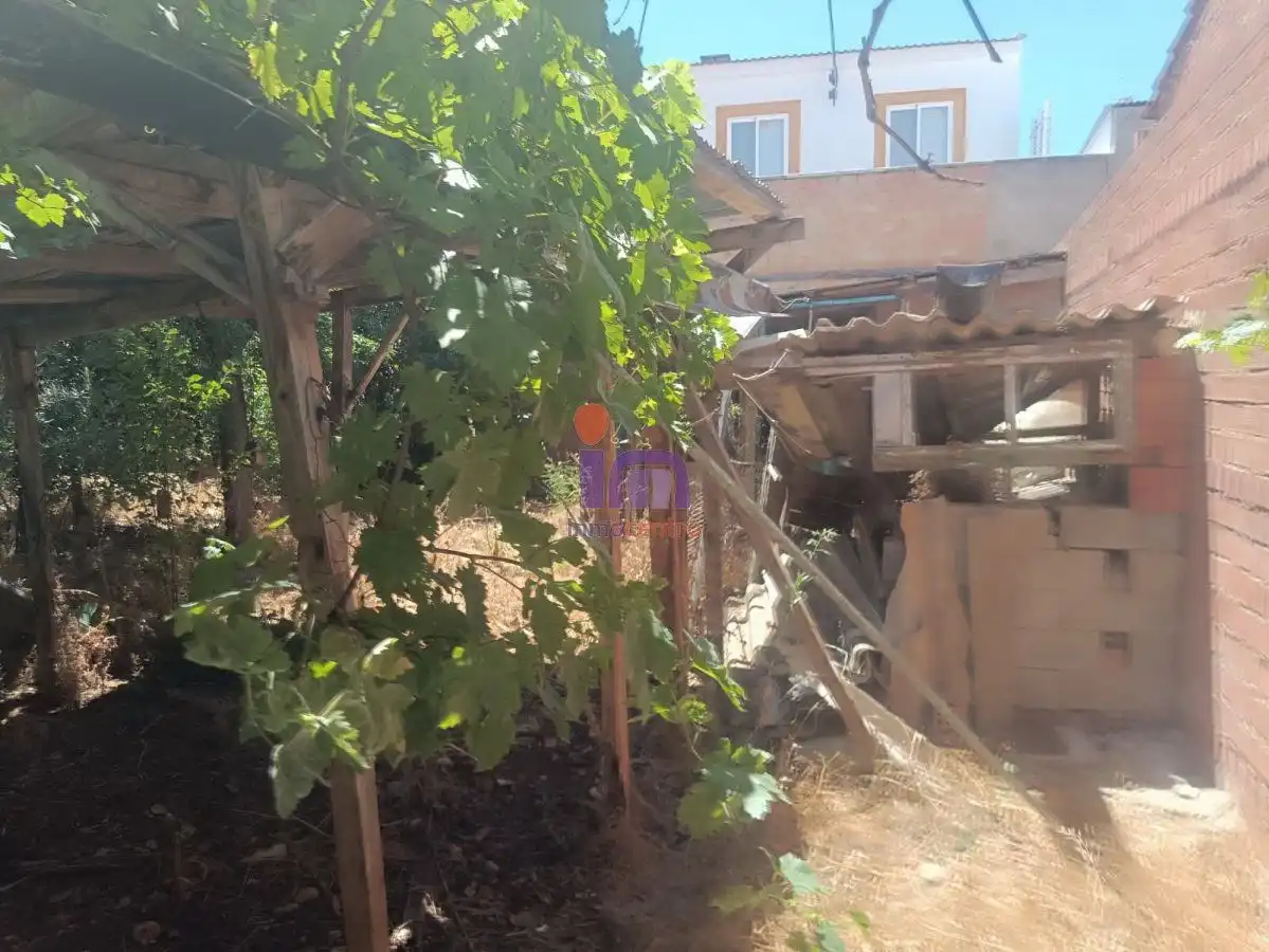 Lands and plots for sale in Valdepeñas, imagen 3