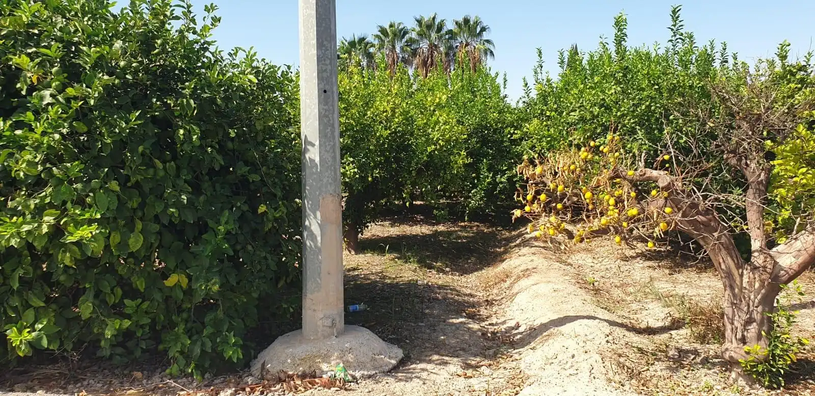 Terrenys i solars en venda a Pedanías Oeste, imagen 5