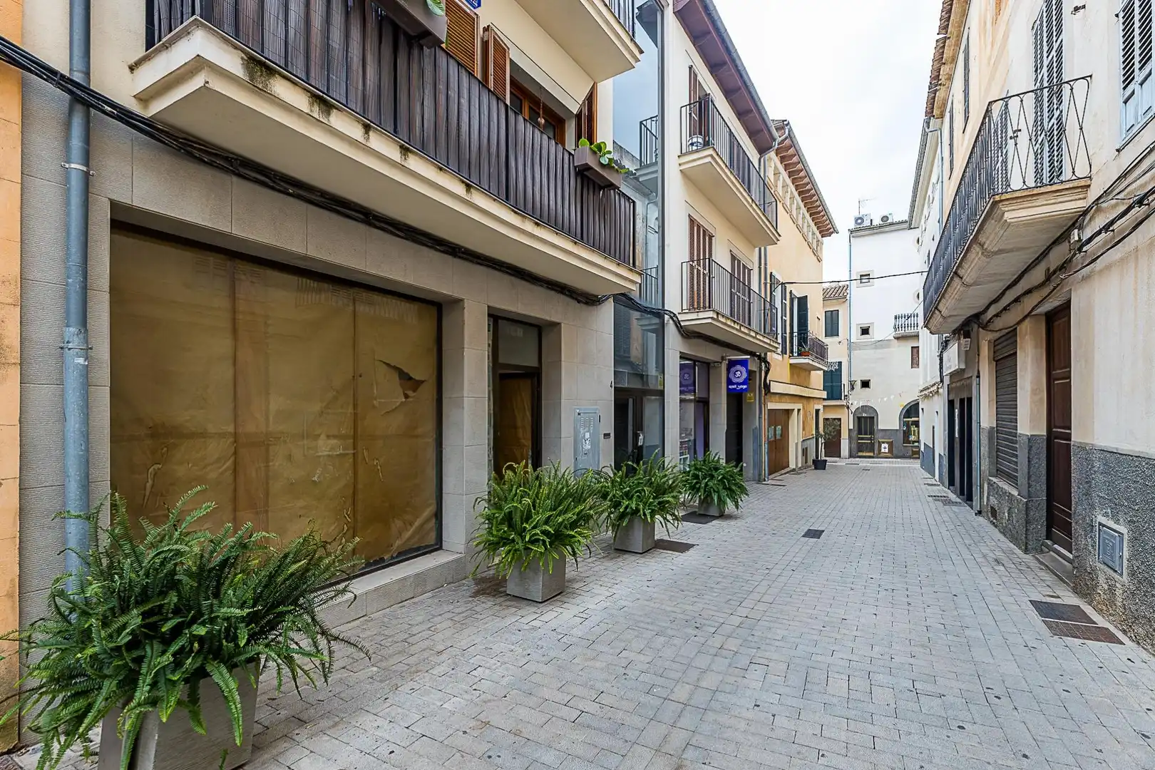 Gewerbefläche zum Verkauf in Calle del Capellà Pere Llull, imagen 2
