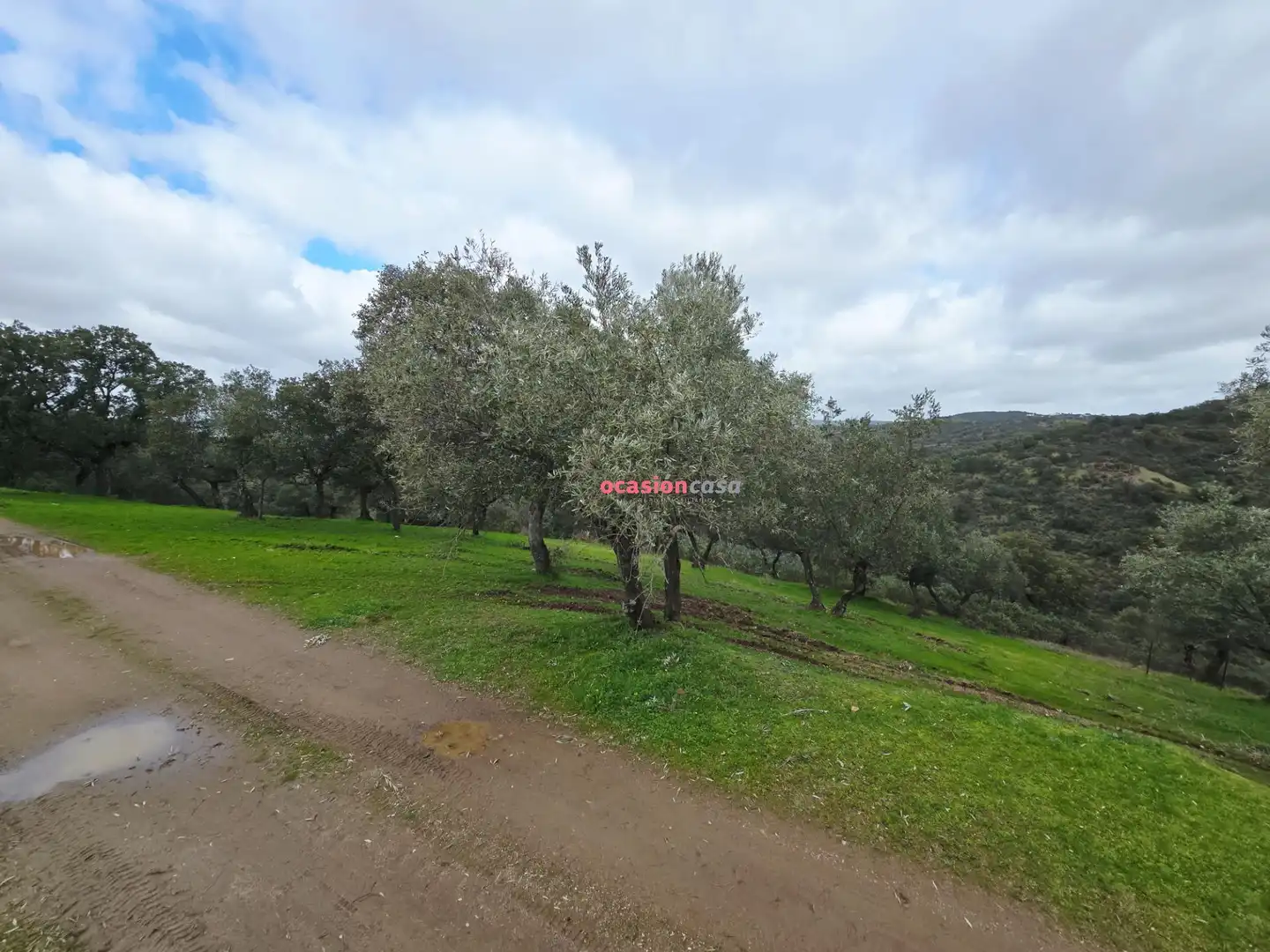 Casa rústica en venta en Pozoblanco, imagen 24