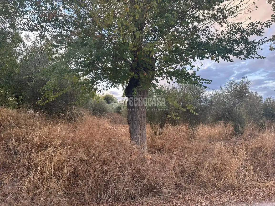 Terrenys i solars en venda a Albolote