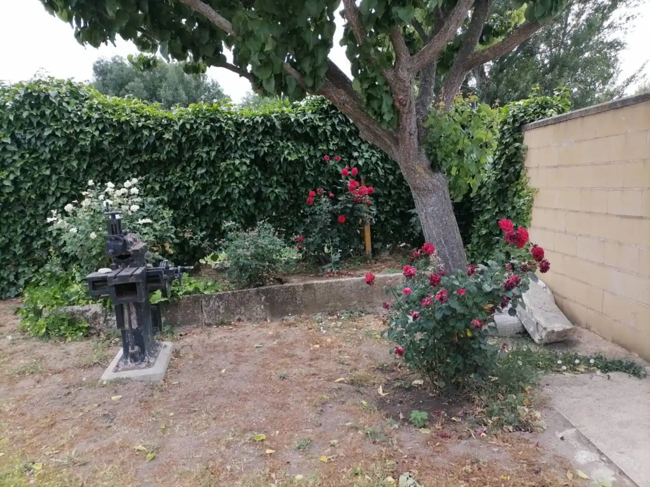 Terreno residenziale in vendita a Poligono 17, imagen 24