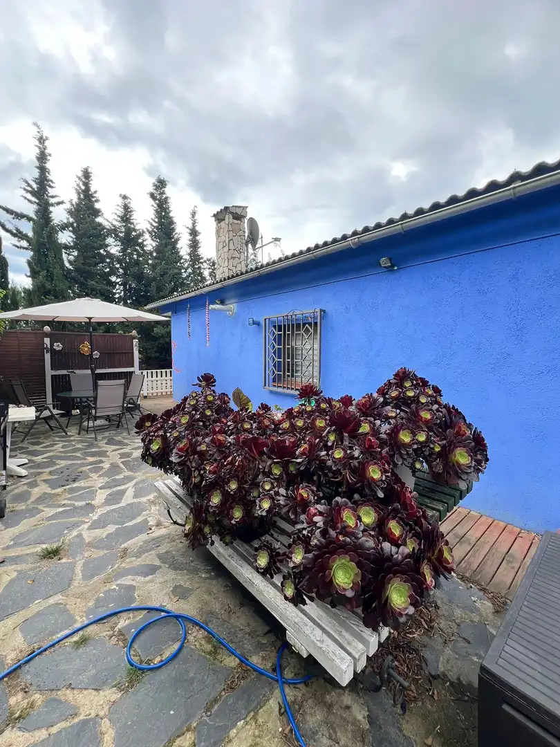 Vista exterior de Casa o xalet en venda en Tordera amb Jardí privat
