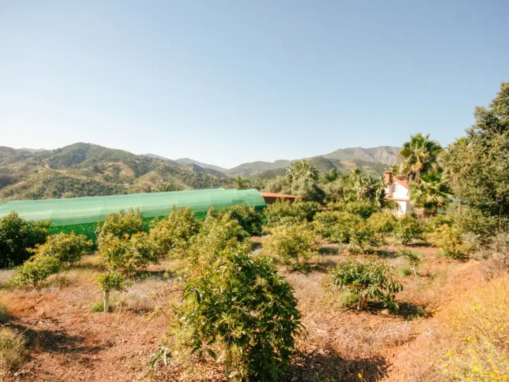 Garden of Houses for sale in Monda