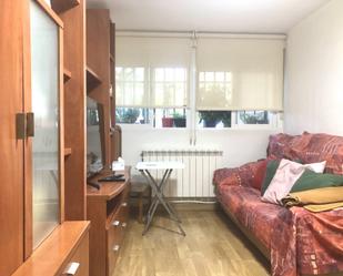 Living room of Flat to rent in  Madrid Capital  with Heating, Terrace and Furnished