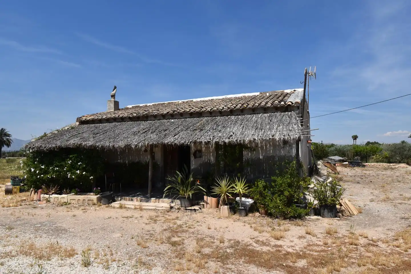 Vista exterior de Casa o xalet en venda en Elche / Elx amb Jardí privat