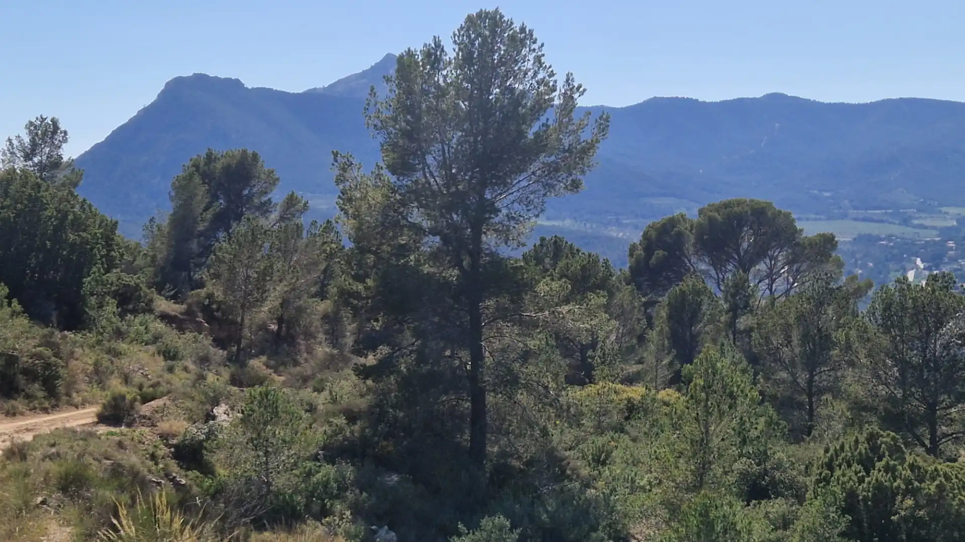 Terreno rustico in vendita a Lugar Castillo, imagen 4