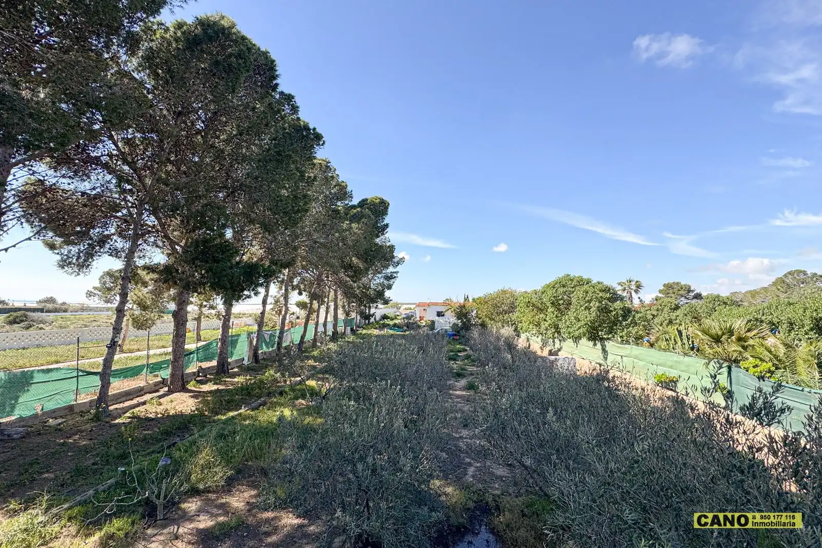 Casa o chalet en venta en Níjar con Piscina