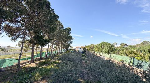 Foto 5 de Casa o xalet en venda a Abeto, San Isidro - Campohermoso, Níjar