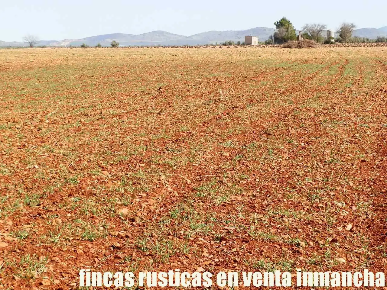 Rural land for sale in Valdepeñas, imagen 6