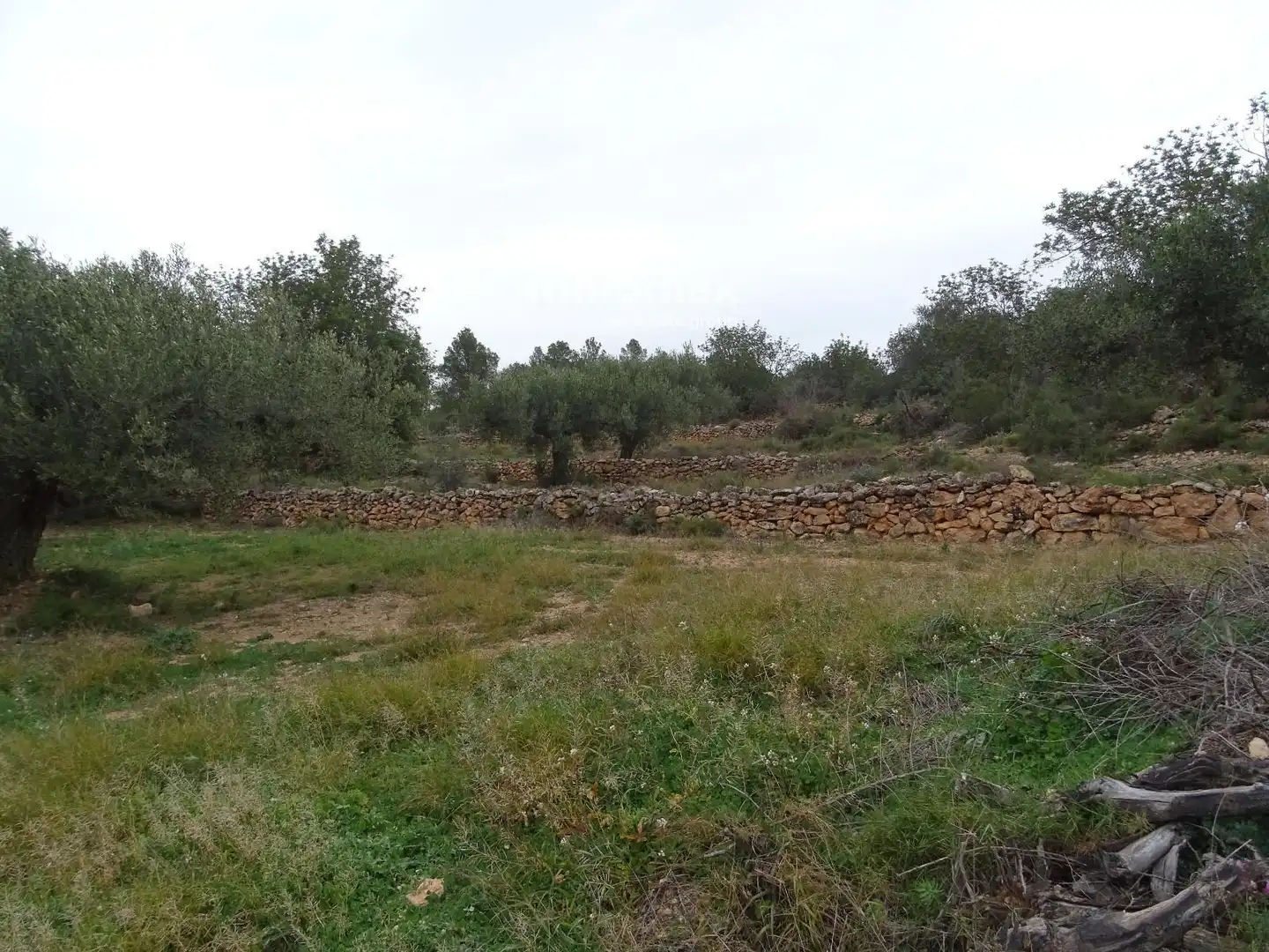 Residencial en venta en Benifallet