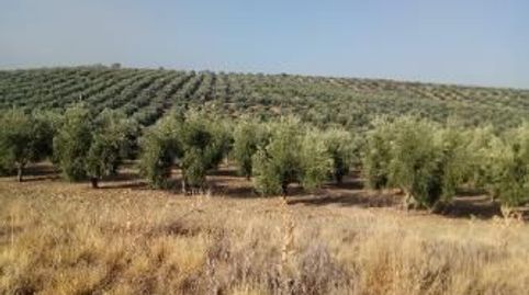 Terreno rústico en venta en pre. hacienda la laguna, Baeza, Jaén