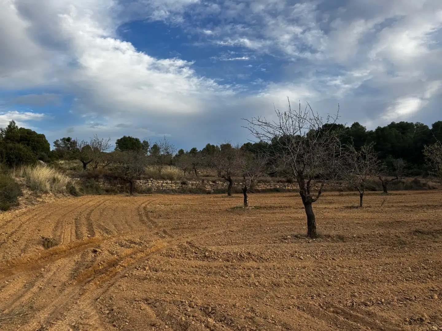 Terreni e lotti in vendita a Alcañiz, imagen 2