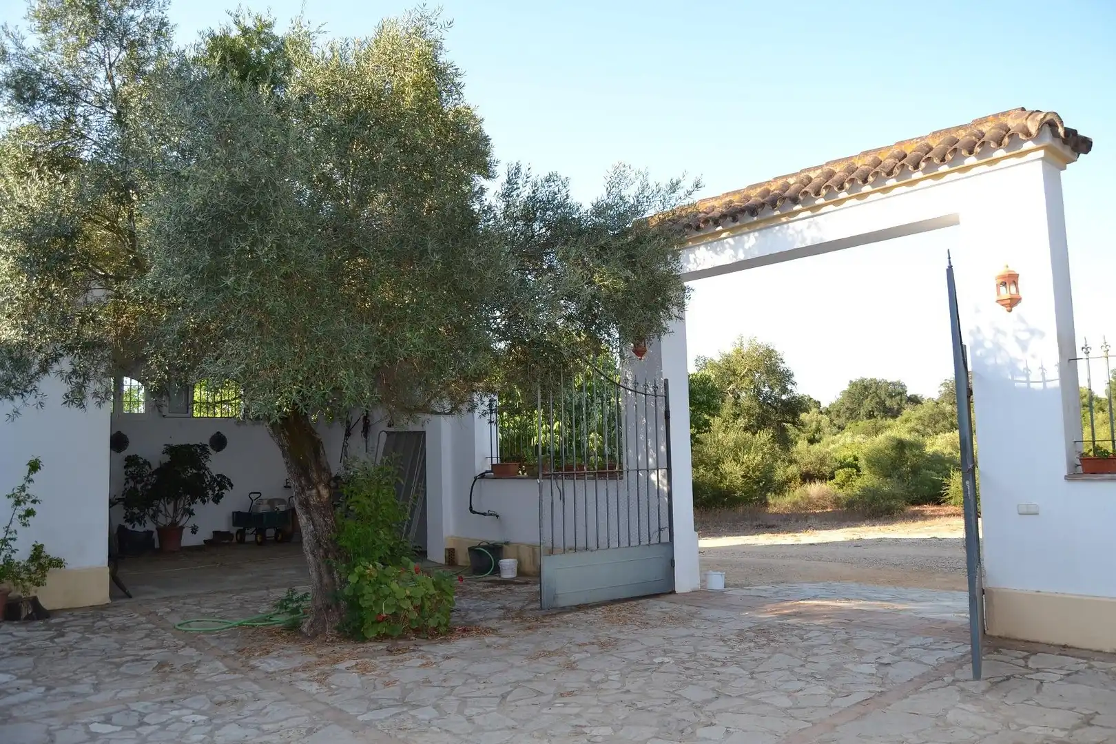 Casa rústica amb piscina en venda a Arcos de la Frontera, imagen 6