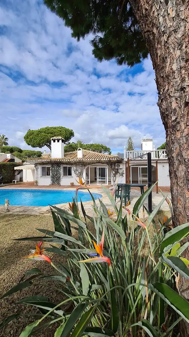 Jardí de Casa o xalet de lloguer en Mijas amb Aire condicionat, Jardí privat i Piscina