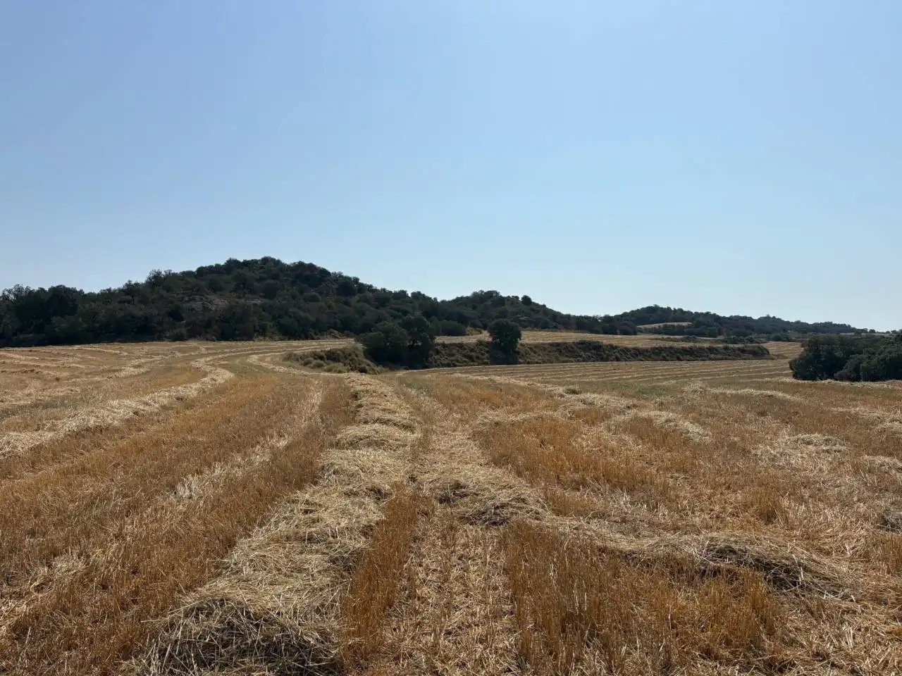 Terreno en venta en San Esteban de Litera