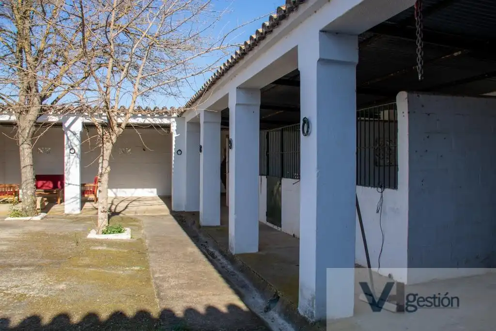 Finca rústica en venta en Bornos