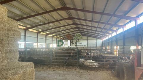 Photo 2 of Residential for sale in Cuatro Postes, Ávila