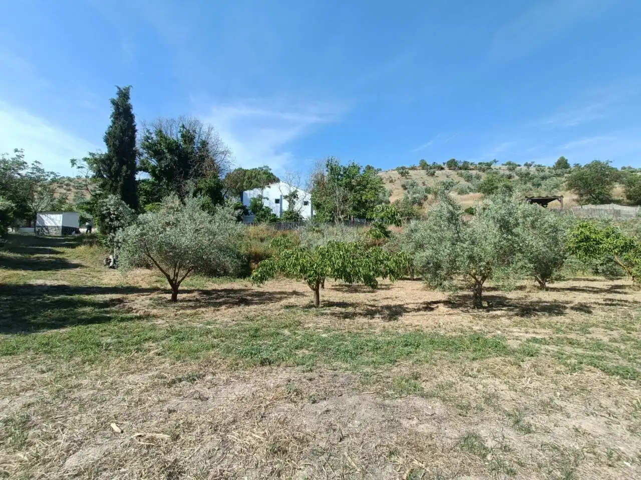 Terreni e lotti in vendita a CASERIA EL POZO LAS CARAS DE CACIN, imagen 65