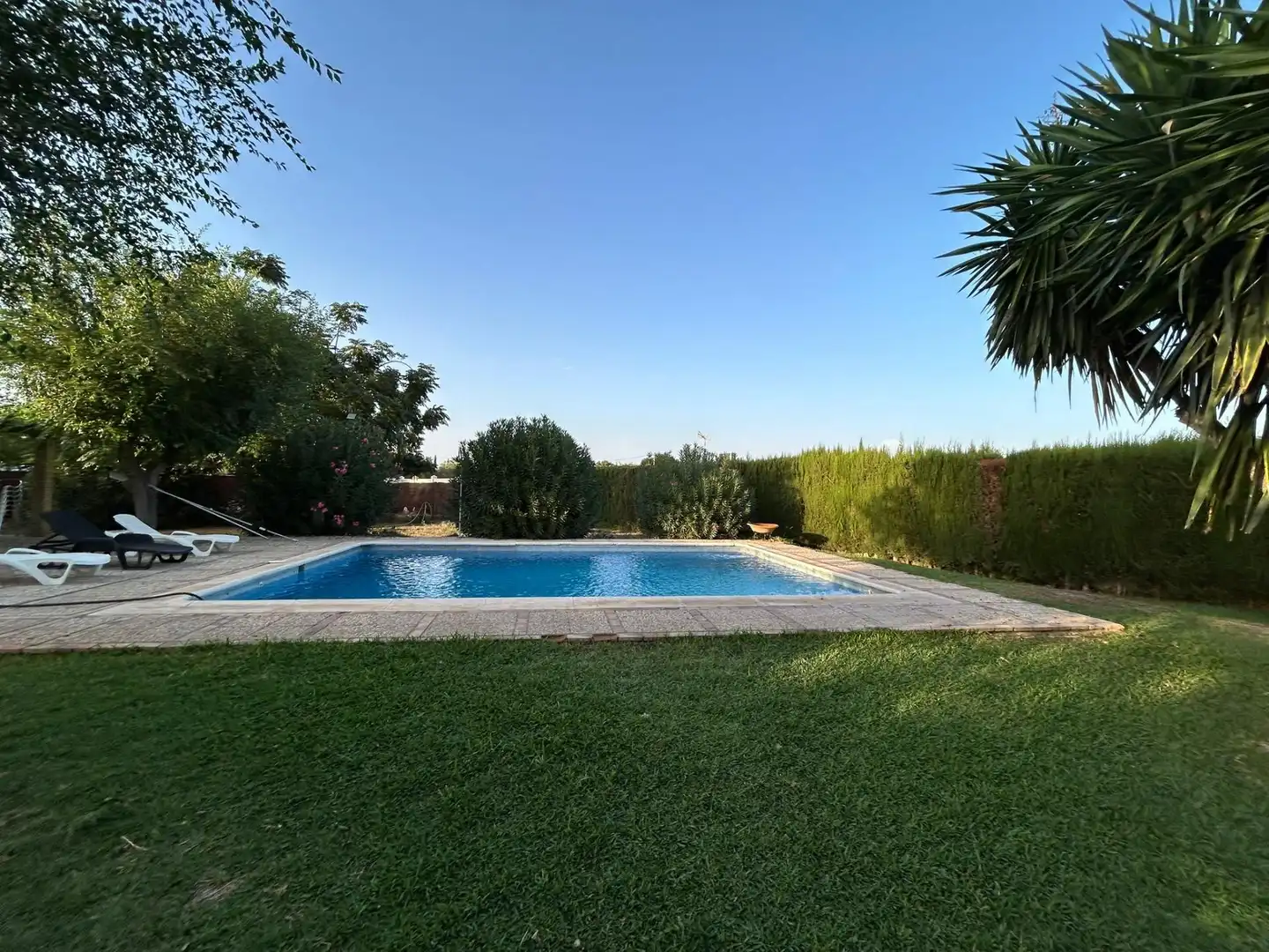 Piscina de Casa o chalet en venta en Carmona con Aire acondicionado, Terraza y Piscina