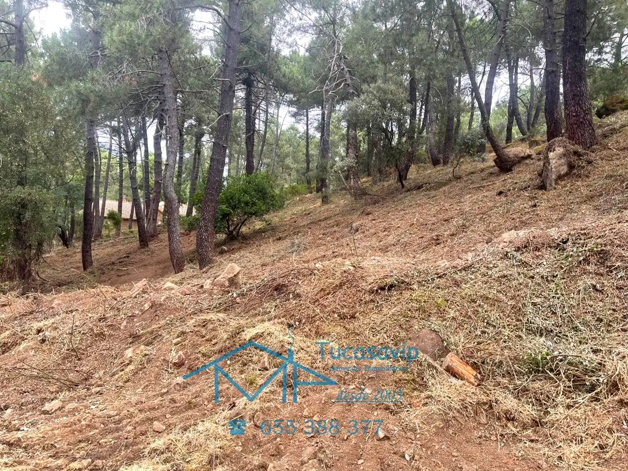 Lands and plots for sale in Cadalso de los Vidrios, imagen 13