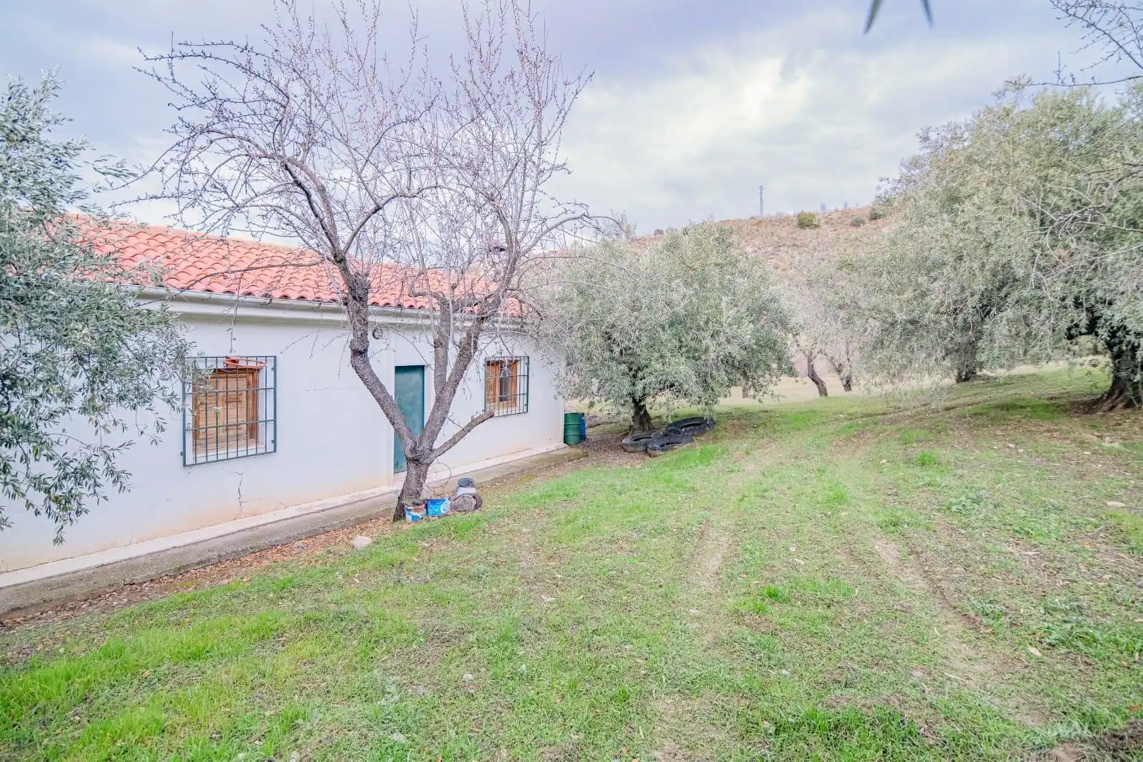 Lands and plots for sale in Autovia Pinos Genil 0, imagen 2