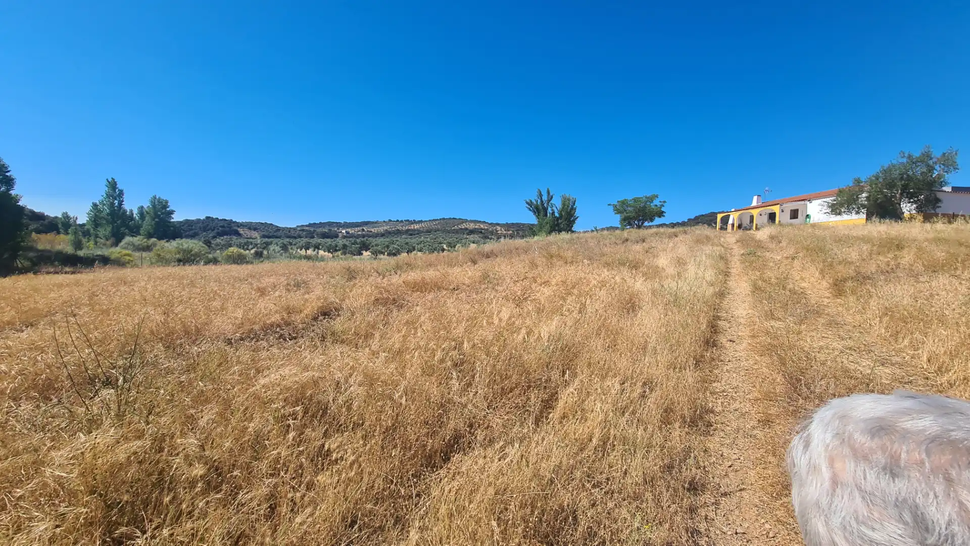 Terreno en venta en Malcocinado