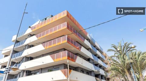 Photo 4 of Apartment to share in Avenida Habaneras - Curva de Palangre, Alicante