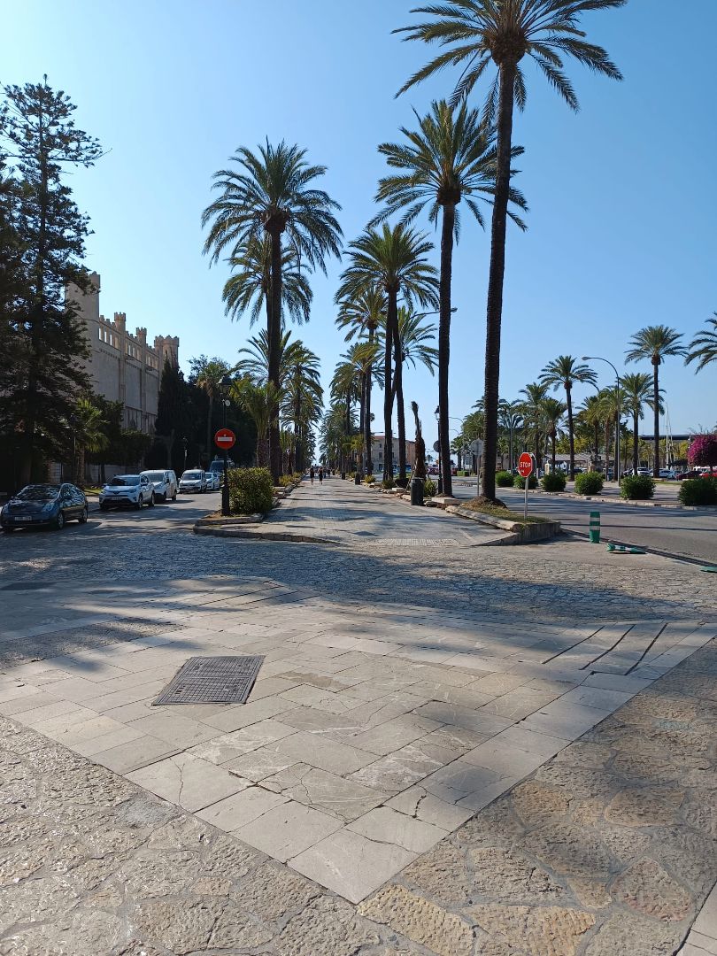 Vista exterior de Pis en venda en  Palma de Mallorca amb Aire condicionat, Parquet i Terrassa