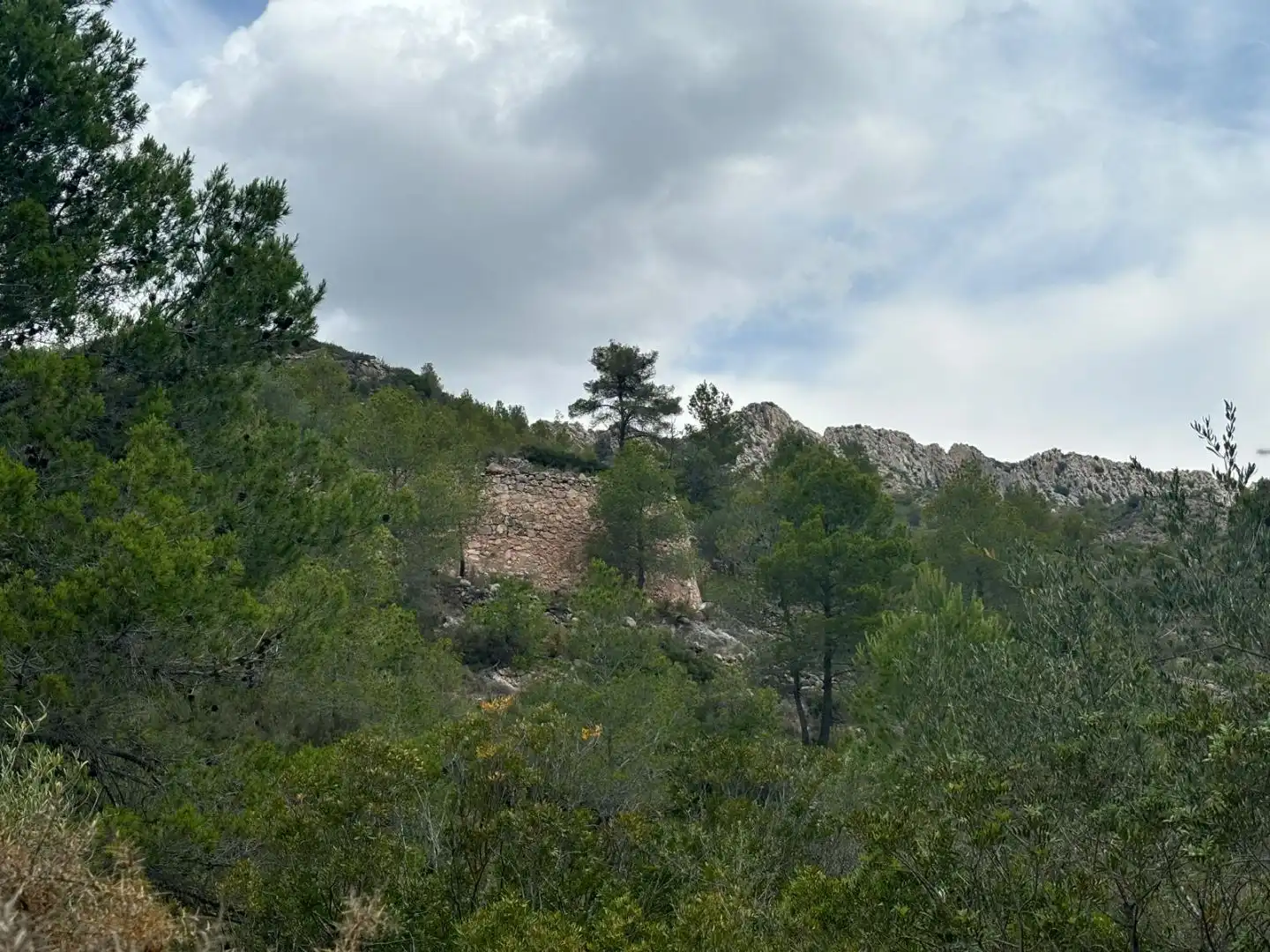 Terreno en venta en Tivissa