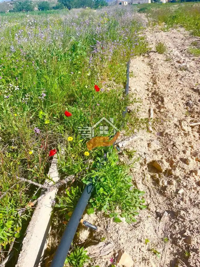 Lands and plots for sale in Pedanías Norte, imagen 33