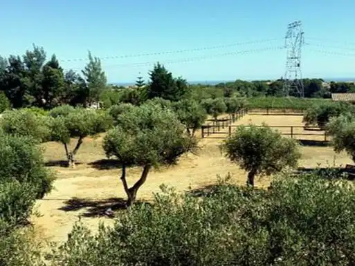 House with garden for sale in Carretera Montbrio 124, imagen 5