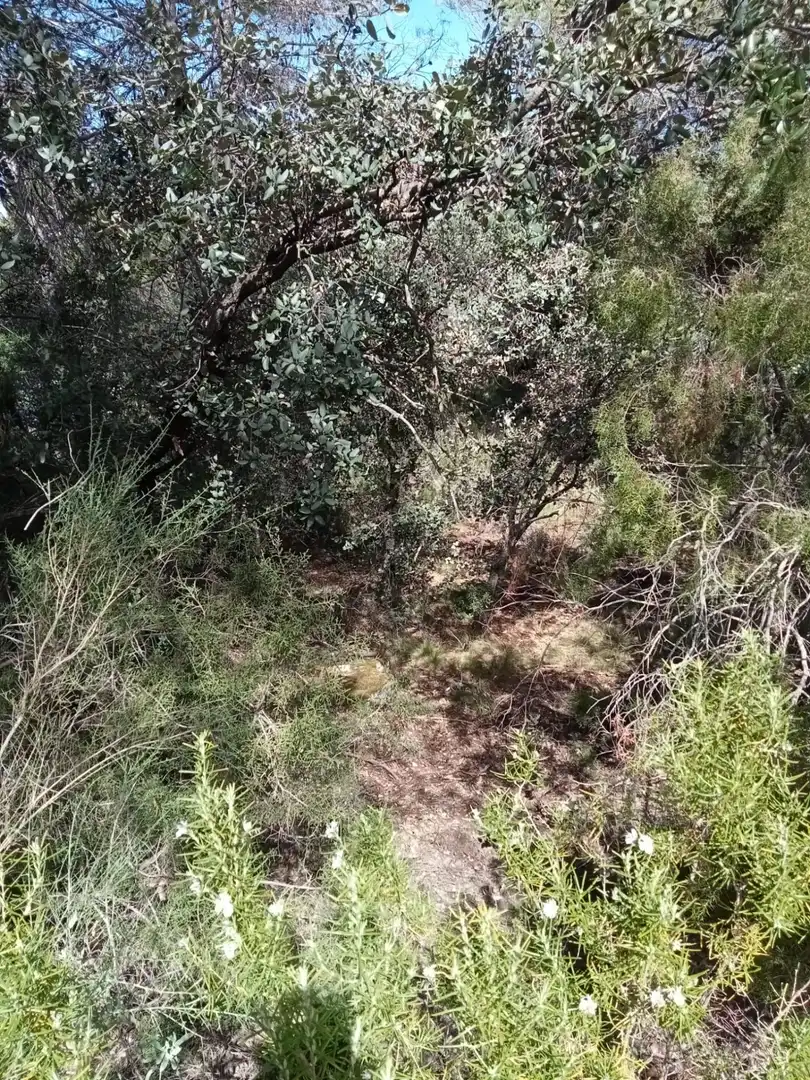 Residential land for sale in NUEVA SIERRA GJ, imagen 3