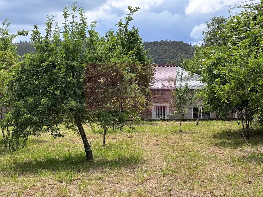 Casa o chalet en venta en Baralla