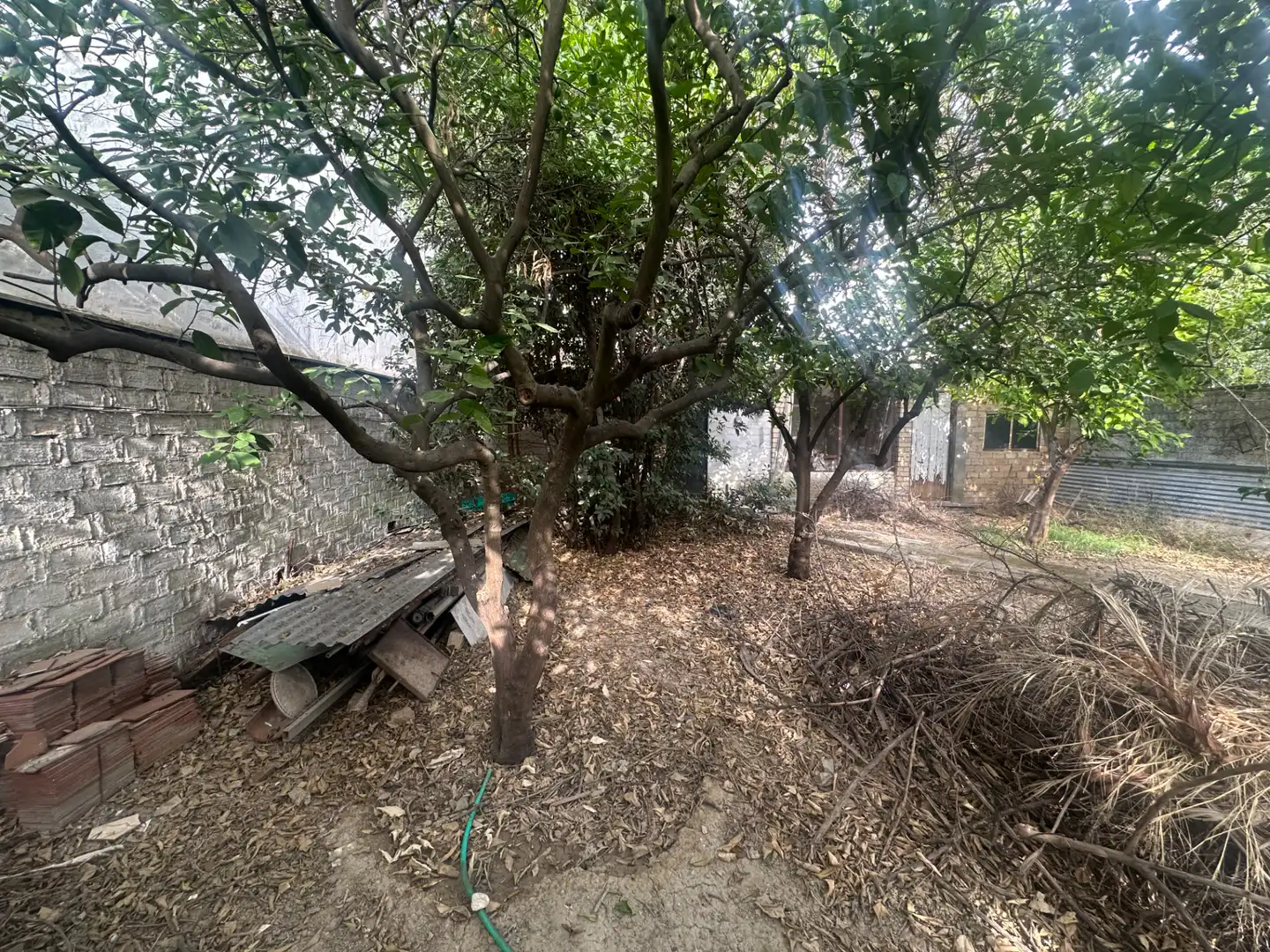 Casa o xalet en venda en Tomares