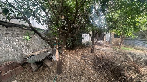 Foto 2 de Casa o xalet en venda a Las Almenas, Tomares