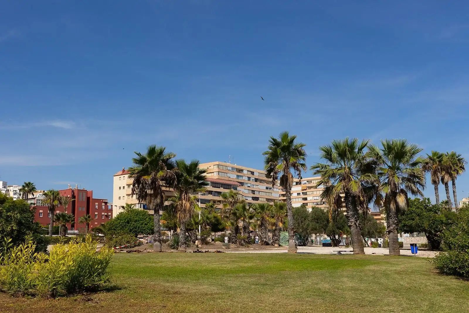 Apartament amb ascensor en venda a La Mata, imagen 29