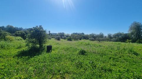 Photo 3 of Land for sale in Carretera Carretera de Almensilla a Mairena, Nuevo Bulevar, Mairena del Aljarafe